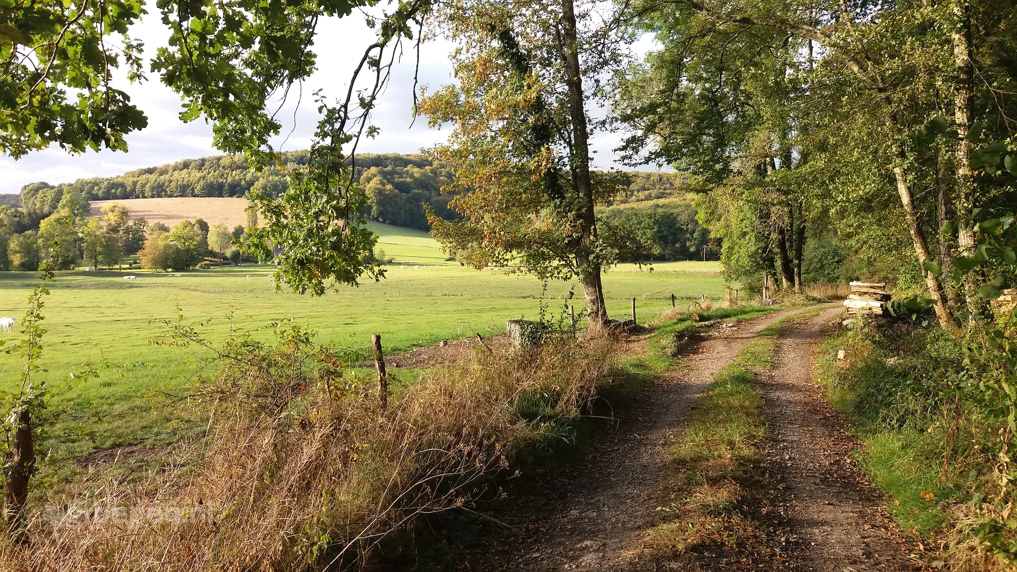 Natuur Franse Ardennen